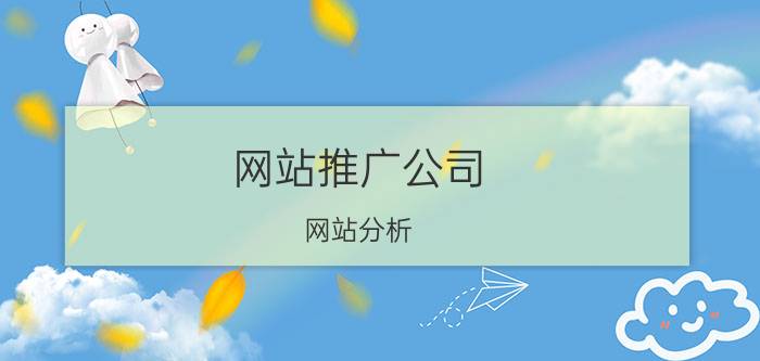 网站推广公司 网站分析，如何进行seo分析？